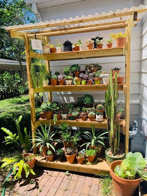 Cactus Stand Ideas, Outdoor Plants Shelves, Outdoor Plant Shelf Ideas, Plant Shelf Outdoor, Greenhouse Shelf, Plant Shelves Outdoor, Garden Shelves, Succulent Garden Design, Plant Stands Outdoor