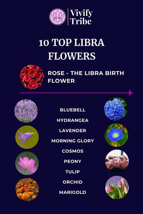 Top 10 Libra Flowers (Meanings & Benefits Explained)Explore Libra flowers like roses, marigolds, and bluebells: uncover the harmony, balance, and positive energy each brings to the Libra sign. Libra Birth Flower, Bluebell Meaning, Libra Birth Stone, Flower For Zodiac Sign, Flowers Meanings, Libra Flower, Libra Gemstones Zodiac Signs, Libra Birthstone, Libra Star Sign