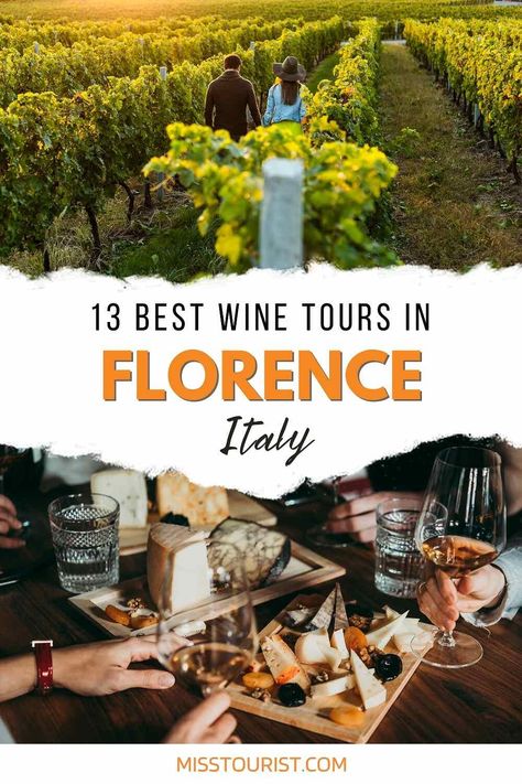 Wine lovers, this is your complete guide to Florence wine tours! With 13 different wine tours to choose from, you're sure to find the perfect one for you! Tuscany Wine Tour, Tuscany Wine, Vacation Italy, Things To Do In Italy, Winery Tours, Italy Travel Tips, Wine Top, Travel Canada, American Travel