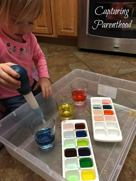 Montessori Water Pouring Activities, Color Provocations, Container Activities For Toddlers, Water Transfer Activity, Color Mixing Preschool, Flisat Activities, Preschool Planning, Nursery Activities, Toddler Classroom