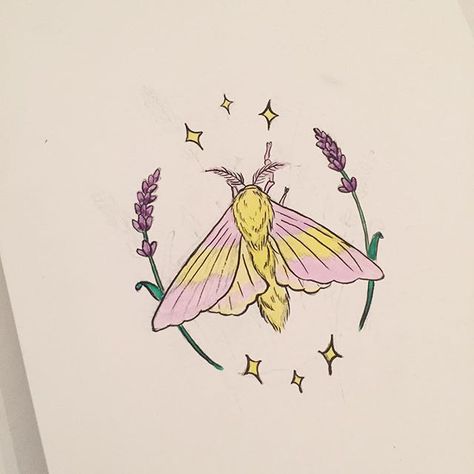 Currently obsessed with Dryocampa Rubicunda. Can't believe something that cute can be real. Moth Artwork, Olivia Harrison, Tattoo Planning, Maple Moth, Moth Drawing, Moth Tattoo Design, Rat Tattoo, Rosy Maple Moth, Cute Moth