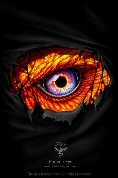 Demon Eyes Drawing, Eyes Fantasy Art, Phoenix Eyes, Werewolf Eyes, Alligator Tattoo, Phoenix Painting, Fire Eyes, Dragon Eyes, Demon Eyes