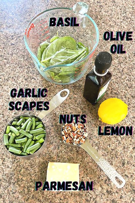 Easy Garlic Scape Pesto – Art of Natural Living Freezing Pesto, Garlic Scape Pesto, Basil Olive Oil, Harvesting Garlic, Pesto Cheese, Garlic Scapes, Raw Garlic, Garlic Seasoning, How To Make Pesto