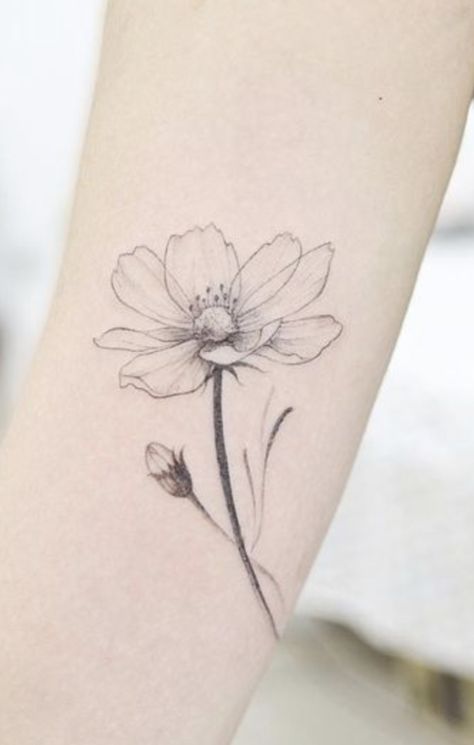 Summer Flowers Tattoo, Anemone Flower Tattoo, Michelle Tattoo, Ranunculus Tattoo, Anemone Tattoo, Lily Magnolia, Cosmos Tattoo, Flor Tattoo, Mum Tattoo