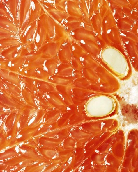 Grapefruit Juice Benefits, Foto Macro, Natural Form Art, Leaf Vector, Food Texture, Texture Inspiration, Fruit Photography, Orange Aesthetic, Grapefruit Juice