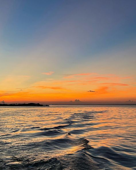 Dauphin Island Alabama, Alabama Beaches, Island Photography, Dauphin Island, Summer 2023, Beach Trip, Dog Friends, Alabama, Photography