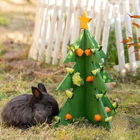 Amazon.com : Guinea Pigs Accessories for Christmas, Mini Tree Foraging Puzzle Toy Treat Feeder Wooden Enrichment Vegetable Rack Mental Stimulation Interactive Toy Xmas Gift Habitat Decor for Bunny Hamster Rabbits : Pet Supplies Christmas Mini Tree, Rabbit Feeder, Tree Puzzle, Vegetable Rack, Guinea Pig Accessories, Guinea Pig Bedding, Guinea Pig Toys, Mini Tree, Mental Stimulation