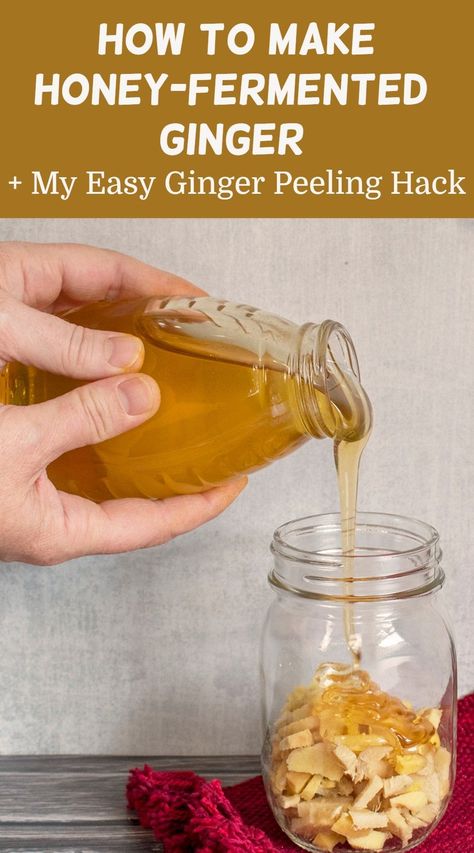 Honey Ginger Recipe, Fermented Ginger Honey Benefits, Ginger Fermented In Honey, Ginger And Honey Benefits, Fermented Honey Garlic Ginger, Ginger Honey Tincture, Canning Fermented Foods, Honey Fermented Ginger, Ginger Garlic Recipes