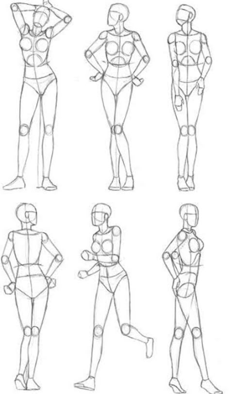 Human Figure Sketches Anatomy, Basic Anatomy Drawing, Women Anatomy, Body Proportion Drawing, Drawing Body Proportions, Drawing Basics, Gesture Drawing Poses, Arm Drawing, Human Figure Sketches