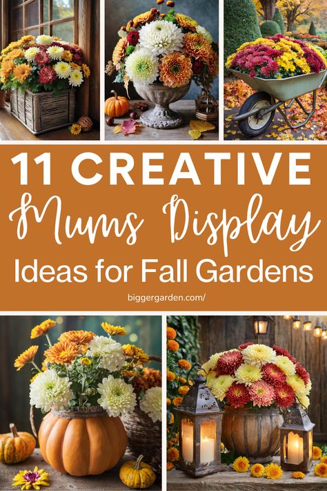 11 Creative Fall Arrangement Ideas to Showcase Mums in Your Garden. Learn how to use autumn planters, fall urns, and fall flower pots to beautifully present your fall mums and chrysanthemums. Explore ideas for fall pots, fall container gardens, and fall chrysanthemum planters to elevate your container gardening flowers. Fall Mum Planter Ideas, Fall Urns, Autumn Planters, Mum Planters, Fall Urn, Fall Flower Pots, Fall Pots, Planting Mums, Urn Arrangements