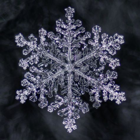 Snowflake Photography, Snowflake Pictures, Winter Bracelet, Snow Flake Tattoo, Snowflake Images, Snowflakes Real, Snowflake Photos, Snow Crystal, Ice Crystals