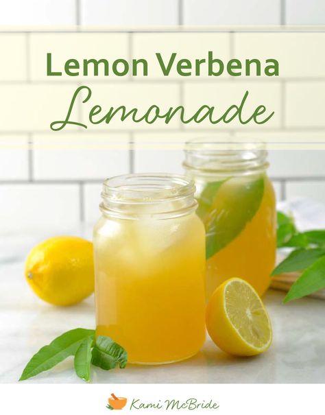 Lemon Verbena Recipes, Lemon Verbena Plant, Lemon Verbena Tea, Herbs Uses, Recipe Using Lemons, Herb Ideas, Holistic Recipes, Lemon Benefits, Lemon Lemonade