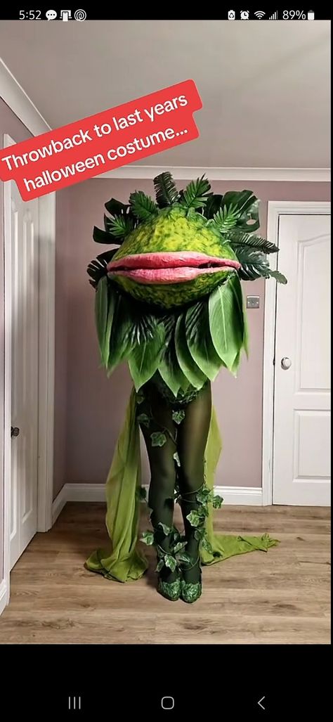 Venus Fly Trap Halloween Costume, Swamp Costume Ideas, Venus Flytrap Costume, Venus Fly Trap Costume, Pickle Costume, Fly Trap, Venus Fly Trap, Creative Costumes, Halloween Food