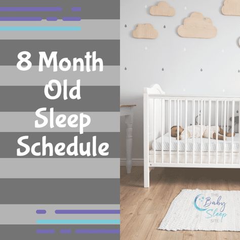 8 Month Old Sleep Schedule: Bedtime, Naps, Sleeping All Night 8 Month Old Schedule, 8 Month Sleep Regression, Baby Sleep Consultant, Baby Feeding Chart, Newborn Needs, Baby Schedule, Sleep Consultant, Ways To Sleep, Baby To Sleep