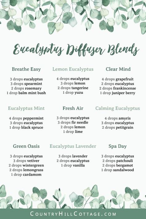 Eucalyptus Diffuser Blends, Lavender Diffuser, Oils For Relaxation, Eucalyptus And Lavender, Essential Oil Combinations, Essential Oil Diffuser Blends Recipes, Aromatherapy Benefits, Spa Night, Essential Oil Diffuser Recipes