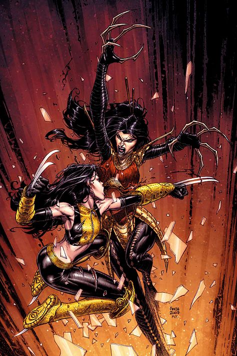 super-nerd: “ X-23 vs. Lady Deathstrike by David Finch ” Lady Deathstrike, All New Wolverine, Superhero Graphic, David Finch, Superhero Stories, David Fincher, Wolverine Marvel, Arte Dc Comics, Uncanny X-men