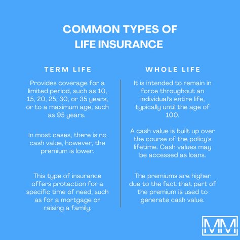 Cash Value Life Insurance, Life Insurance Marketing Ideas, Life Insurance Marketing, Whole Life Insurance, Insurance Marketing, Term Life Insurance, Financial Life Hacks, Branding Mood Board, Real Estate Business