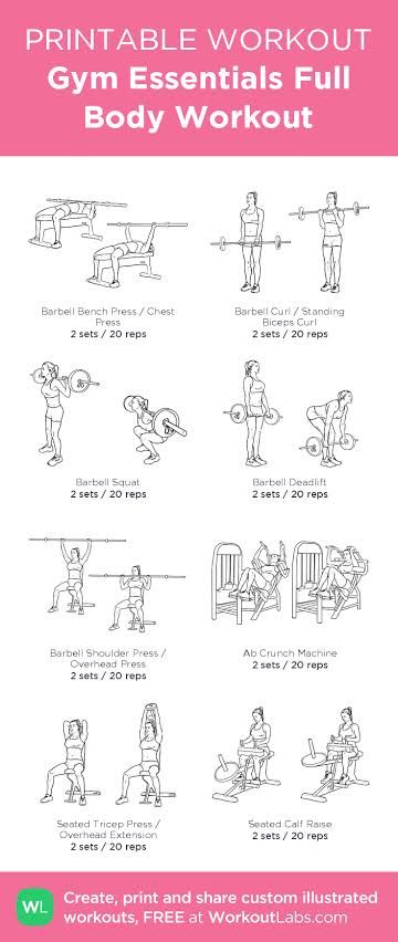 Barbell Shoulder Press, Pooch Workout, Strength Training Guide, Barbell Deadlift, Printable Workout, Reps And Sets, Barbell Squat, Barbell Workout, Exercise Plan