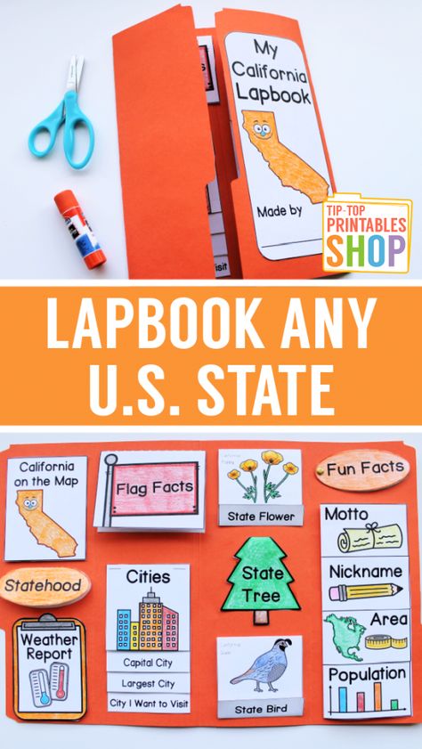 State Project 3rd Grade, My State Project, Regions Of The United States Projects, 2nd Grade Lapbooks, State Brochure Project, First Grade Lapbooks, Homeschool Country Unit Study, 50 States Project, Us Geography Activities