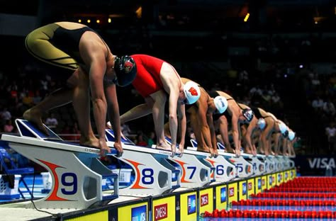 Get Off the Blocks First: Olympic Trials Swimming, Olympics Aesthetic, Olympic Diving, Swimming Aesthetic, Swimming Art, Swimming Team, Swimming Photography, Aquatic Center, Swimming World