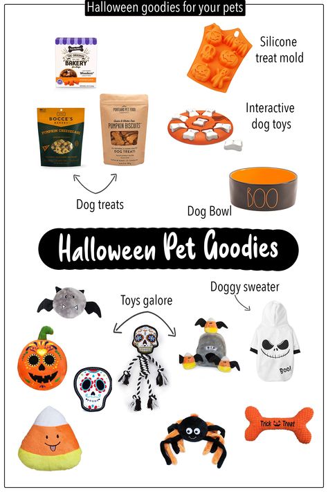 Dog Spooky Basket, Dog Boo Basket, Dog Halloween Party, Dog Treats Pumpkin, Dog Room Design, Dogs Room, Halloween Dog Treats, Halloween Pets, Halloween Dog Toys