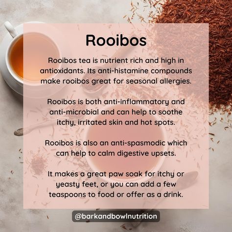 Have you ever thought about sharing a cup of herbal tea with your dog? Herbal teas like chamomile, calendula, rooibos and nettle leaf can be really effective in soothing itchy, sore skin. Another benefit is that due to their anti-inflammatory nature they can also help with stomach upsets too! I often share my herbal tea with Hugo, rooibos is our current favourite! -- Do you have an itchy dog? Book a consultation at barkandbowlnutrition.com/consultations -- #HerbalTeas #HerbalTeasForDo... Nettle Tea Benefits, Rooibos Tea Benefits, Tea Dog, Herbal Tea Benefits, Itchy Dog, Witch Things, Nettle Leaf, Herbal Recipes, Rooibos Tea