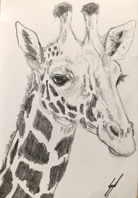 #giraffe #sketch #graphite #originalart #artist #sketchbook Giraffe Drawing Realistic, Giraffe Sketches, Drawing Of Giraffe, Giraffe Drawings, Drawing Giraffe, Giraffe Sketch, Cute Giraffe Drawing, Sketch Animals, Realistic Animal Drawings