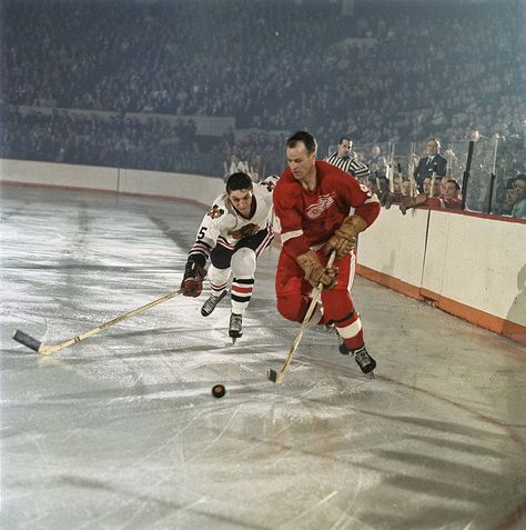 Gordie Howe of Detroit and Matt Ravlich of Chicago Nba Uniforms, Gordie Howe, Hockey Arena, Detroit Redwings, Toronto Maple Leafs Hockey, Nhl Teams, Hockey Pictures, Detroit Sports, Hockey Memes