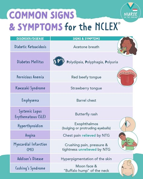 Hhns Nursing, Nursing Precautions, Nclex Hacks, Mock Code Blue Nursing, Nclex 2023, Nursing Skills Clinical, Lpn Nclex Study Guides, Hemodynamics Nursing, Nclex Tips