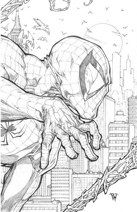 Spider-Man by Paolo Pantalena: Paolo Pantalena, Tomer Hanuka, Comic Pencils, Comic Art Sketch, Otto Schmidt, Spiderman Drawing, Ultimate Spider Man, The Amazing Spiderman, Marvel Drawings