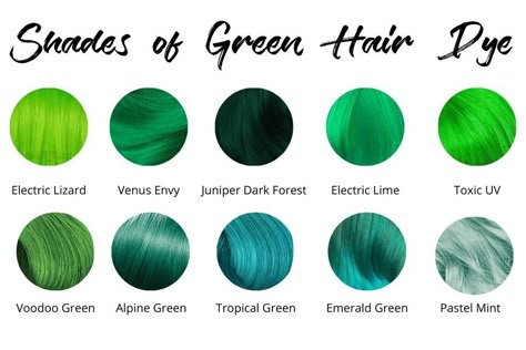 Grey Hair Colour Chart, Dark Green Hair Dye, Haircolour Ideas, Pastel Green Hair, Short Green Hair, Hair Color Swatches, Emerald Green Hair, Mint Green Hair, Emerald Hair