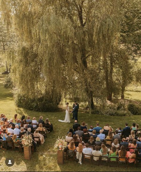 Wedding Under Willow Tree, Willow Tree Wedding Ceremony, Wedding Willow Tree, Weeping Willow Wedding, Very Small Wedding Ideas, Wedding Under Tree, Tree Wedding Ceremony, Willow Wedding, Willow Tree Wedding