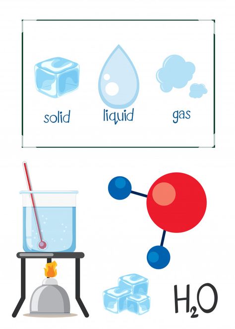 Estados de ciencia del agua de la materia Vector Premium Changing States Of Matter, 3 States Of Matter, Matter For Kids, Science Lab Decorations, Science Display, Copy Ads, Animal Flashcards, Properties Of Matter, Matter Science