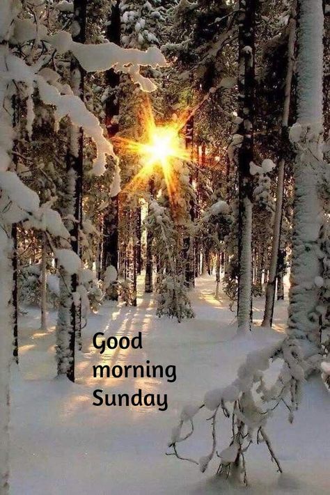 Good Morning Snowy Day, Snowy Morning Quotes, Snowy Sunday Morning Quotes, December Coffee, Weekday Motivation, Rainy Sunday Morning, Winter Sunday, Sunday Morning Memes, Sunday Greetings