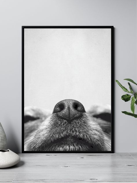 Framed Dog Pictures Wall Art, Dog Wall Art Decor, Dog Picture Wall Ideas, Dog Room Wall Decor, Dog Home Accessories, Black And White Dog Pictures, Pet Picture Wall Ideas, Dog Picture Ideas Decor, Dog Prints Art