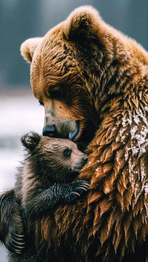 Bears In The Wild, African Animals Photography, Bear Photography, Wild Animals Photos, Amazing Animal Pictures, Animal Portraits Art, Nature Photographer, Bear Pictures, Bear Cubs