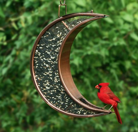 🌙 Unique crescent Moon design with durable long-lasting copper finish Plexiglass panels for added strength and durability Generous 4-pound seed capacity Drainage holes help keep seed dry Measures 17"H x 11"w x 3. 75"D.Easy to hang and easy-to-know-when-to fill Modern Bird Feeders, Plexiglass Panels, Window Bird Feeder, Garden Accents, Moon Design, Copper Finish, Bird Feeder, Garden Gates, Over The Moon