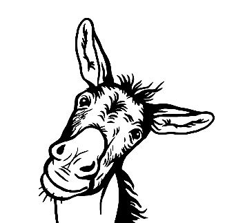 Donkey Tattoo, Mules Animal, Donkey Funny, Horse Stencil, Cricut Images, Easy Animals, Drawing Examples, Wood Burning Patterns, Graffiti Wall Art