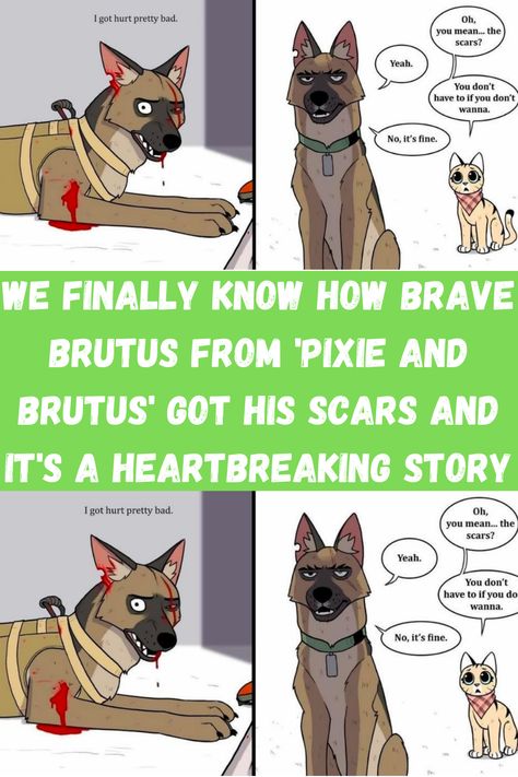 https://defused.com/how-brutus-got-his-scars/?utm_source=ch5&utm_medium=viralagain Brutus And Pixie, Pixie And Brutus, Wholesome Pictures, Libra Quotes Zodiac, Dog People, Pinterest Photos, Got Him, Funny Facts, Onions