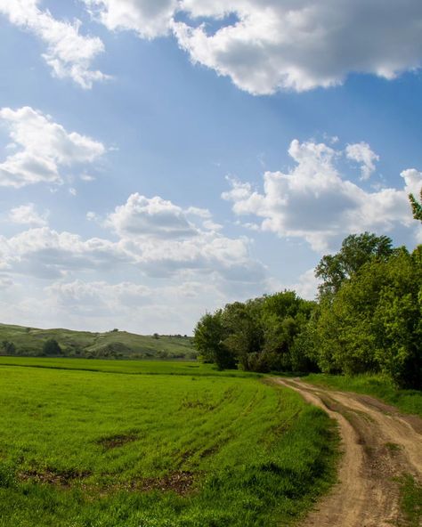 #nature #landscape #summer #green Green Pastures, Green Pasture, Summer Green, Nature Landscape, Green, Blue, Nature