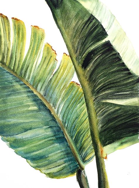 Paint Palm Leaves, Leaves In Watercolor, Balinese Art, Banana Leaf Art, Bali Painting, Tropical Artwork, Flowers Paintings, Leaf Artwork, Step By Step Watercolor