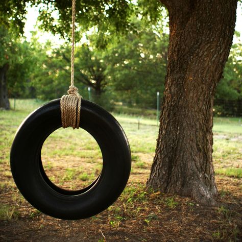 Cardboard Games, Tire Playground, Como Plantar Pitaya, Diy Tire, Tire Craft, Tire Swings, Island Garden, Play Garden, Tire Swing