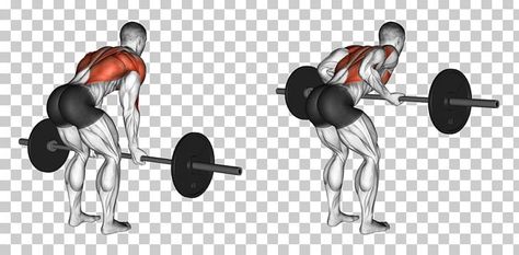 Human Back, Barbell Workout, Smith Machine, Calf Raises, March 5, Back Muscles, Weights Workout, Weight Training, Physical Fitness