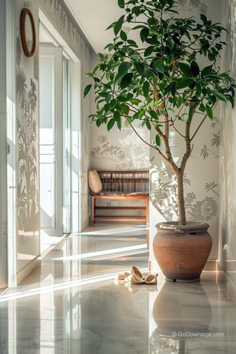 Having that ficus silk tree in the hallway is like bringing a slice of nature inside—no green thumb required! It’s got that lifelike look that adds this cozy vibe to the space, making everyone feel right at home. Entrance Plants Indoor, Large Indoor Tree, Living Room Tree Plant, Big Plants Indoor Living Rooms, Tree Inside House, Hallway Plants, Tree In Living Room, Ficus Tree Indoor, Audrey Ficus