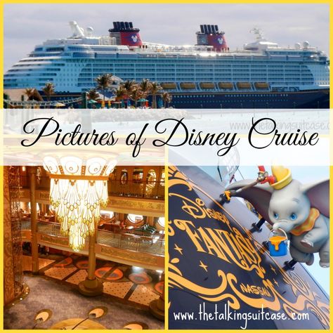 Disney Cruise Disney Cruise Pictures, Fantasy Cruise Ship, Disney Cruise Ship, Cruise Ship Pictures, Ship Interior, Disney Fantasy Cruise, Disney Cruises, Disney Cruise Vacation, Ship Pictures