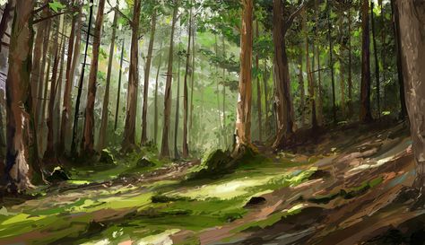 Environment Light Study Environment Concept Art Forest, Anime Woods Background, Forest Scene Illustration, Forest Environment Art, Pine Forest Illustration, Forest Environment Concept Art, Woods Drawing Forests, Pine Forest Drawing, How To Draw Forest