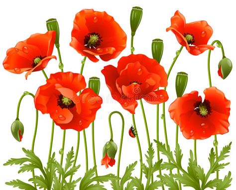 Poppy Art, Flower Wall Decals, Poppy Painting, Wall Stickers Bedroom, Wall Stickers Home, Poppy Flower, Silk Painting, Red Poppies, Large Flowers