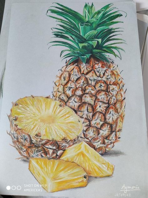 Realistic Food Drawings, Drawings Colored Pencils, Pencil Food, Drawing With Colored Pencil, Drawing With Colored Pencils, Pineapple Drawing, Fruit Sketch, Fruit Art Drawings, Prismacolor Art