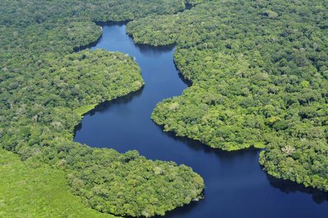 ¿Cuál es el río más largo del mundo? # Los ríos son corrientes de agua que fluyen con continuidad, alimentando a una gran variedad de animales, tanto acuáticos como terrestres, así como a las plantas. Son de vital importancia para los bosques, las selvas ... » Rainforest Facts, Tread Lightly, Amazon River, Brazil Travel, Amazon Rainforest, Tropical Rainforest, Aerial View, Natural Wonders, Tourist Attraction