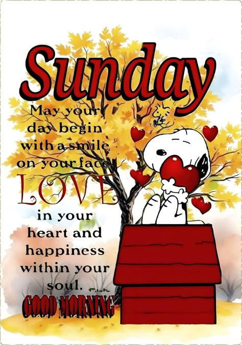 Snoopy Sunday Mornings, Happy Sunday Quotes Positivity, Happy Sunday Images Beautiful, Sunday Morning Greetings, Afternoon Greetings, Good Morning Happy Weekend, Weekend Wishes, Happy Sunday Images, Week Blessings